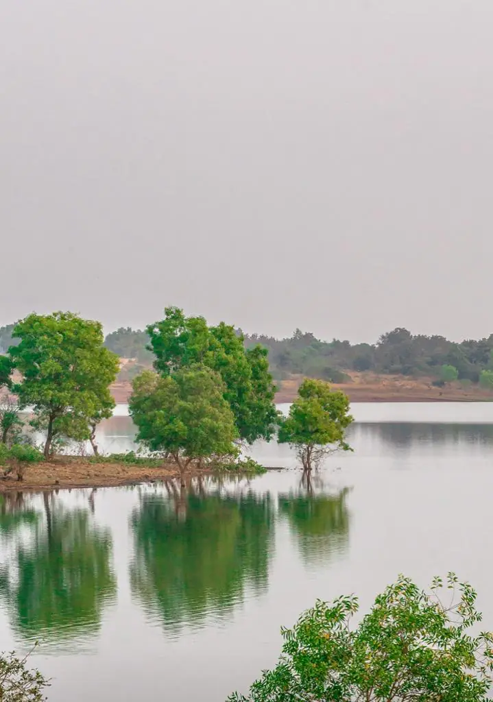 Lake View